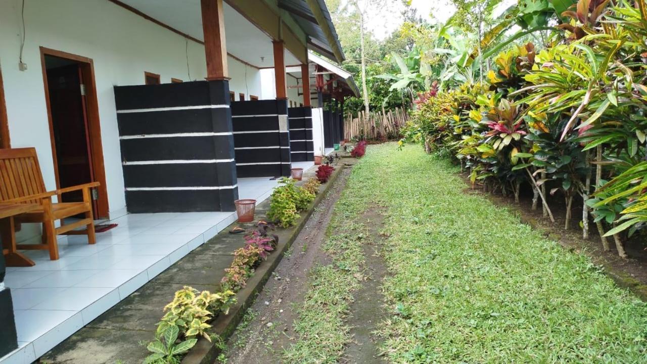 Tatasya Homestay Senaru Bagian luar foto